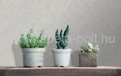 decoprint_shades_of_color_am25303_altpic_1.jpg