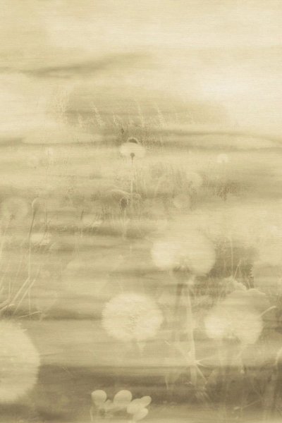 emiliana_parati_73899.jpg